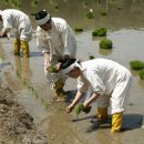 초록지기마을 이미지