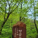 점봉산 곰배령 등산 및 곰배령 귀요미 영접 후기