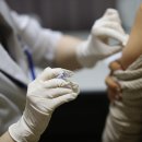 진해구 ⓒ-33 이미지