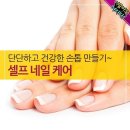 단단하고 건강한 손톱 만들기~ 셀프 네일 케어 이미지