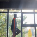 바카티오 이미지