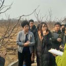 대련농장 이미지