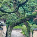 기산국악당토요상설공연 | 2025 산청국악축제 일정 안내｜기산국악당 토요상설공연 정보