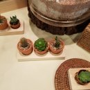 동일중앙초등병설유치원 이미지