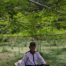 승용목장 이미지