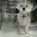 VIP동물의료센터 동대문점 이미지