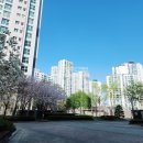 트리풀114공인중개사사무소 이미지