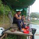 신기낚시터 Daum카페