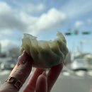 도남오거리도남점 | [제주김밥]159. 제주 도남동 / 제주 땡초김밥 ‘ 땡초김밥싱싱왕만두 도남점 ’