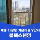 세븐일레븐 세종가온9단지점 | 세종 다정동 방충망 교체 가온마을 9단지 블랙스텐망 24메시 시공 후기