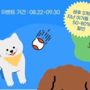 바나개 강아지 고양이 마포점 이미지