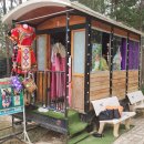 계곡사랑 이미지