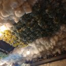 대성포차 이미지