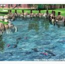 (주)브이알필드 이미지