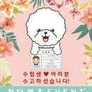 청담펫츠 이미지