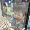 동진 수족관 이미지