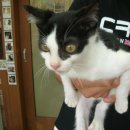 효진동물병원 이미지