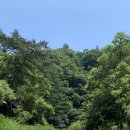 헬로우힐연인산캠핑장 - 1047 | 헬로우힐연인산캠핑장