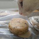 Rush(러쉬) 이미지