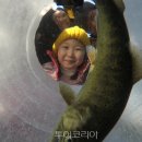 화천산천어가공 투어코리아