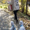 골든블랙123 이미지