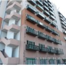 대선월드피아 이미지