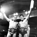 김일농장 이미지