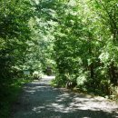 연화정민박 이미지