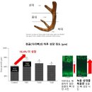 가정한의원