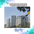 금호작은도서관 | 판교 백현마을2단지 임장 후기 및 입지분석