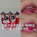 혀니별 | 입술 각질 부각 없는 워터틴트? 뷰티피플 첨벙첨벙 틴트 솔직후기 (겨울쿨톤 추천)