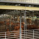 백광농장 이미지