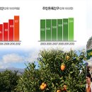 통계로 본 제주의 어제와 오늘(2003~2013) 이미지