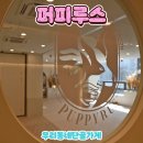 퍼피루스 이미지