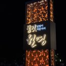 안동 월영교 처음 가시나요? 100% 성공하는 문보트 명당과 황금 힐링 산책로 (feat. 주차 꿀팁)