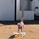 카페험프리즈 이미지