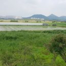 중앙공원-2 이미지