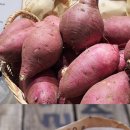 별똥농장 | 생생정보통 나나랜드 수제감자칩 수제 고구마칩 양평 별똥밭 농장 노재석