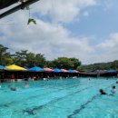 통일로 수영장 이미지