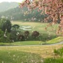 뉴서울컨트리클럽 이미지