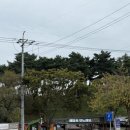 GS25상록점 이미지