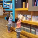 지혜의 숲 도서관 이미지