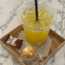 중흥 C4 | [진주 혁신도시 미용실] 염색과 레이어드컷 후기, 수지 실장님 추천 &#34;디무드헤어 진주혁신점&#34;