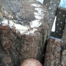 참빛농장 이미지