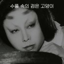 일본 흑백 영화 추천 수풀 속의 검은 고양이 후기