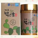 법인제국백년초