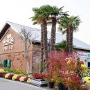 지리산창의체험관광협동조합