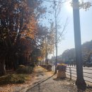 엑스포치과의원 이미지