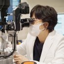 영등포원안과의원 이미지