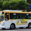 대우버스글로벌(주)